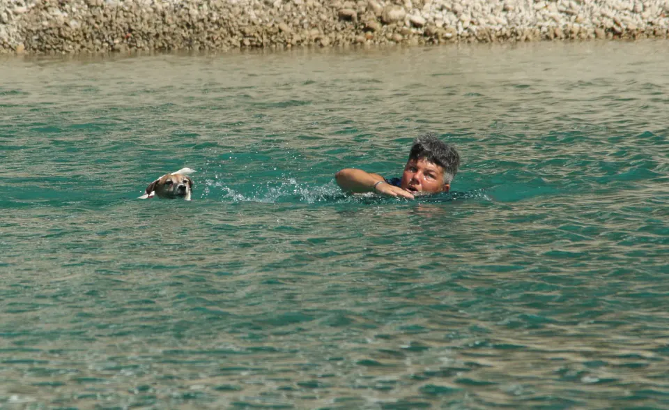 Foto GEM DOG A.S.D.: Campionato di attività natatorie FICSS, Romans d'Isonzo, 9 agosto 2026, foto 29 di 39
