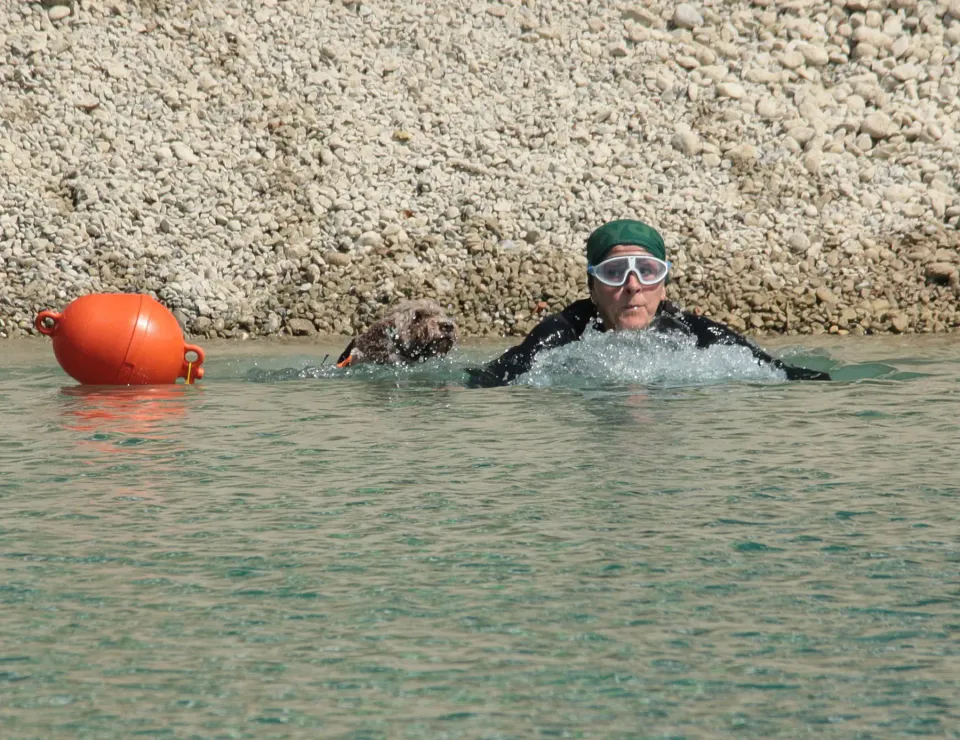 Foto GEM DOG A.S.D.: Campionato di attività natatorie FICSS, Romans d'Isonzo, 9 agosto 2026, foto 31 di 39