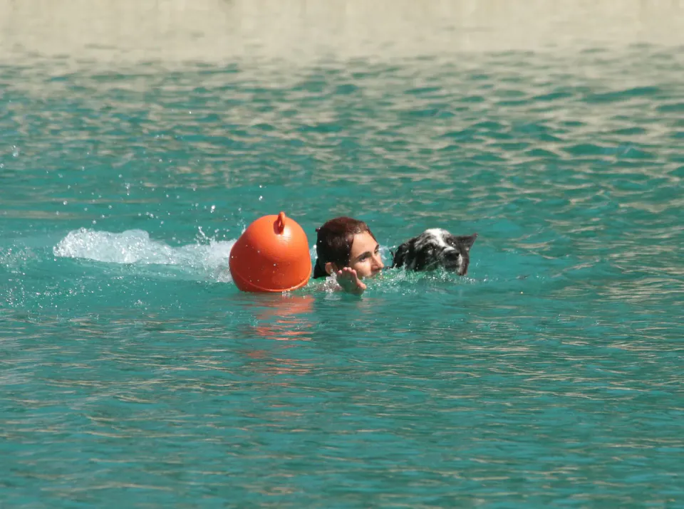 Foto GEM DOG A.S.D.: Campionato di attività natatorie FICSS, Romans d'Isonzo, 9 agosto 2026, foto 36 di 39