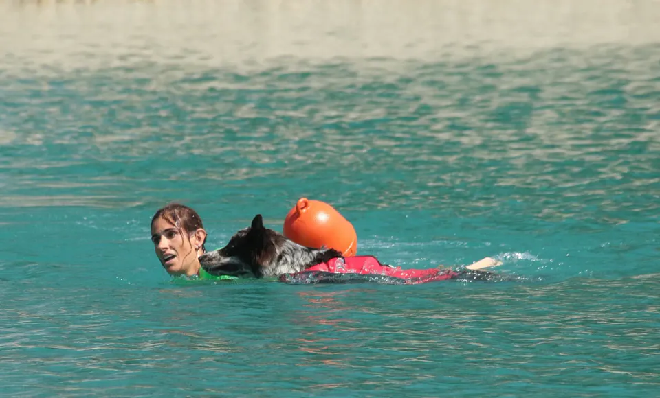 Foto GEM DOG A.S.D.: Campionato di attività natatorie FICSS, Romans d'Isonzo, 9 agosto 2026, foto 37 di 39