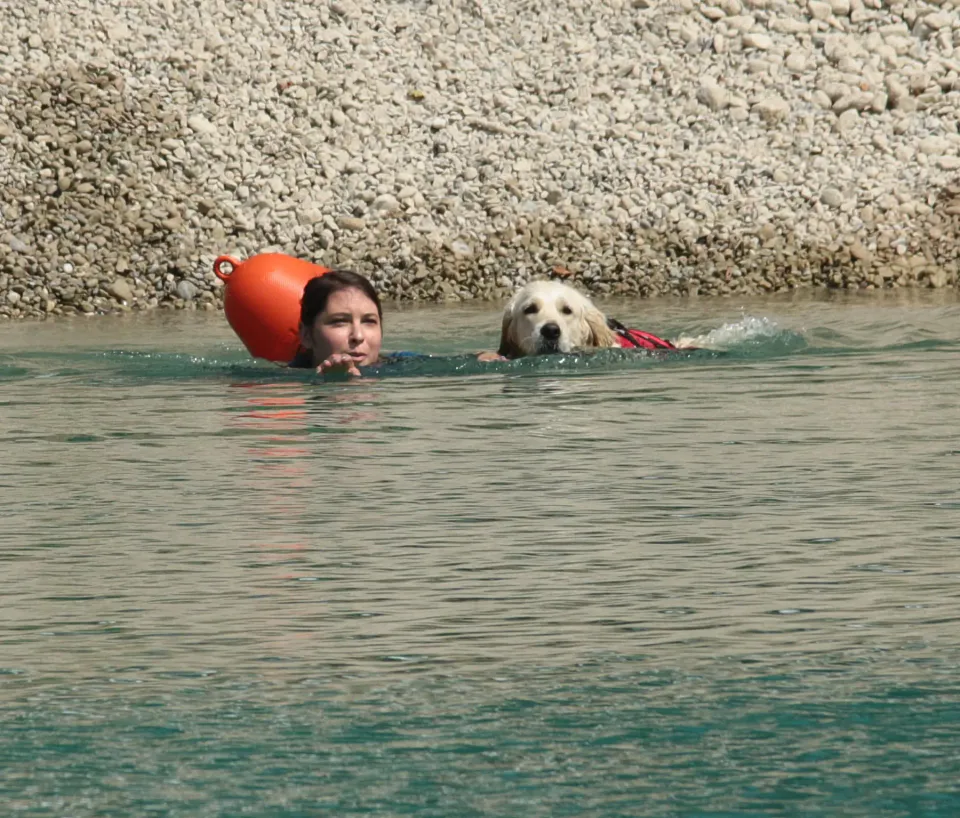 Foto GEM DOG A.S.D.: Campionato di attività natatorie FICSS, Romans d'Isonzo, 9 agosto 2026, foto 39 di 39