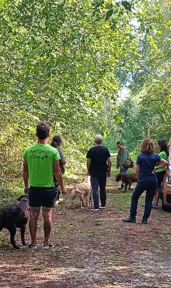 Foto GEM DOG A.S.D.: Stage di retriever sport, Leproso, 19 settembre 2026, foto 3 di 9