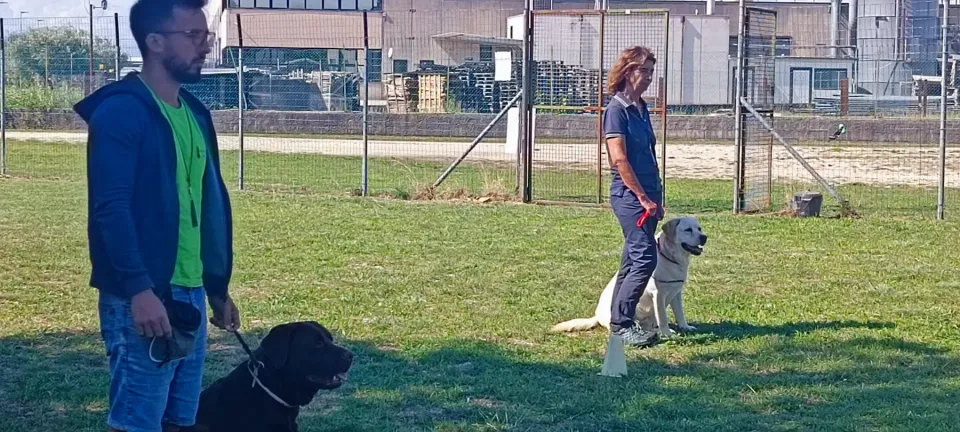 Foto GEM DOG A.S.D.: Stage di retriever sport, Leproso, 19 settembre 2026, foto 5 di 9