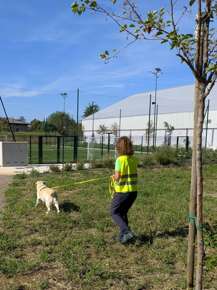 Foto GEM DOG A.S.D.: Allenamento di mantrailing, Buttrio, 20 settembre 2026, foto 6 di 81