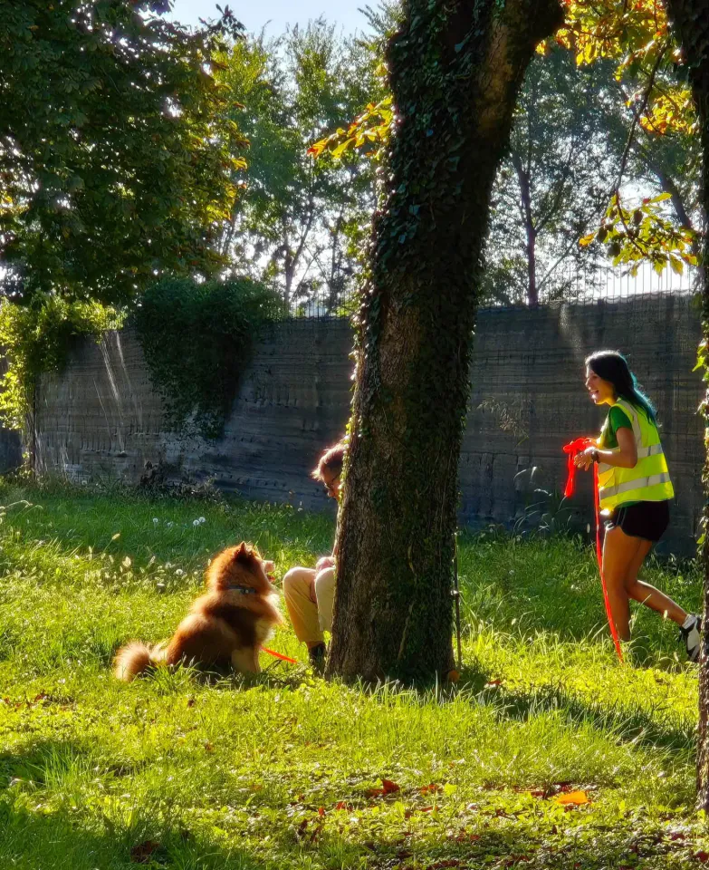 Foto GEM DOG A.S.D.: Allenamento di mantrailing, Buttrio, 20 settembre 2026, foto 7 di 81