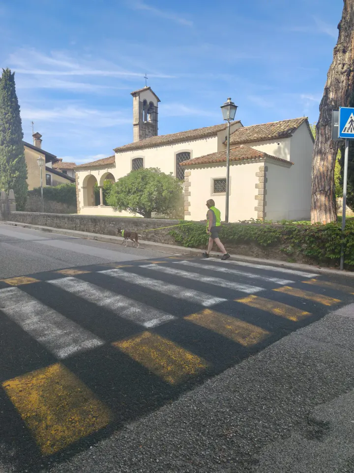 Foto GEM DOG A.S.D.: Allenamento di mantrailing, Buttrio, 20 settembre 2026, foto 9 di 81