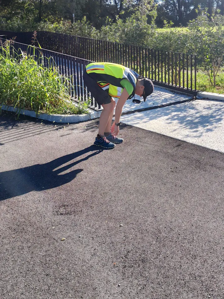Foto GEM DOG A.S.D.: Allenamento di mantrailing, Buttrio, 20 settembre 2026, foto 12 di 81