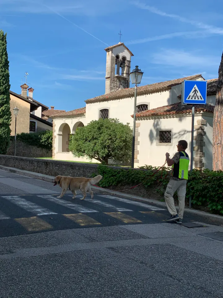 Foto GEM DOG A.S.D.: Allenamento di mantrailing, Buttrio, 20 settembre 2026, foto 21 di 81