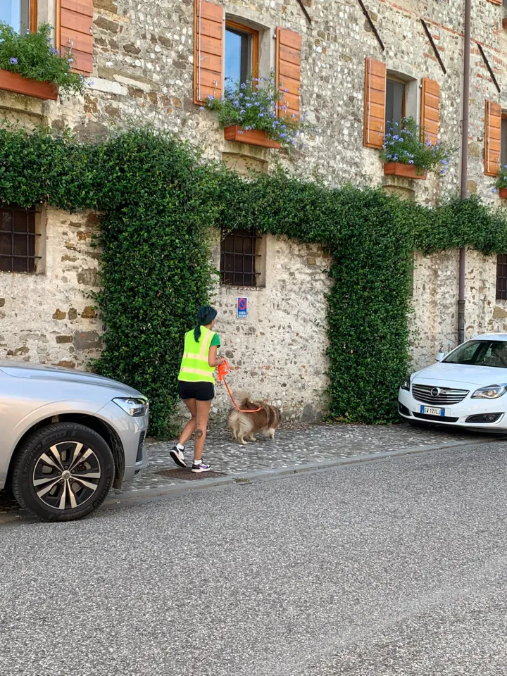 Foto GEM DOG A.S.D.: Allenamento di mantrailing, Buttrio, 20 settembre 2026, foto 22 di 81