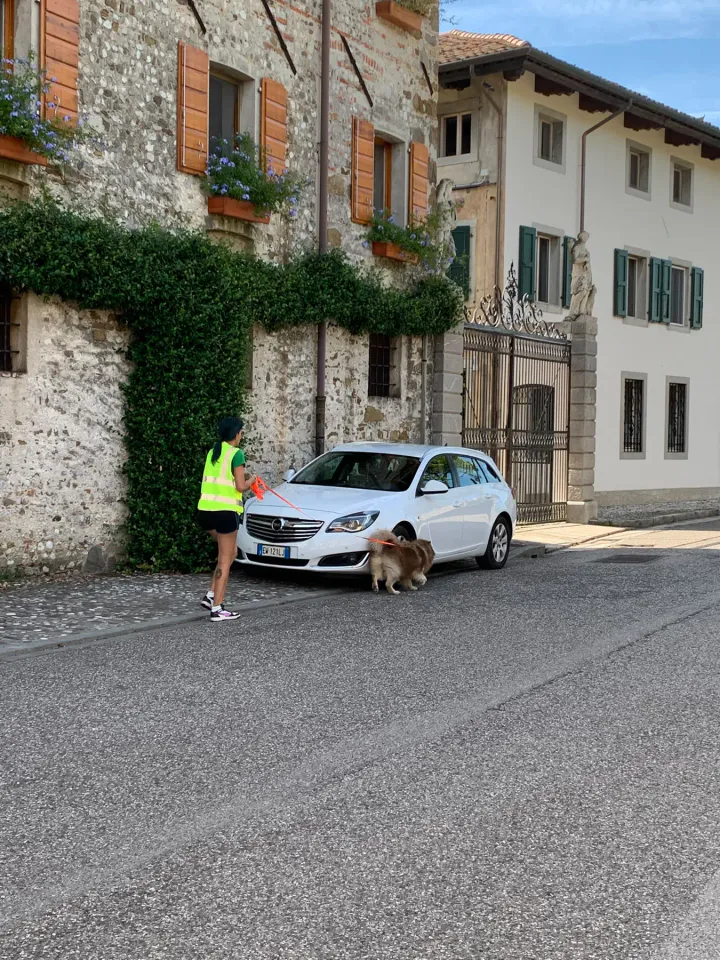 Foto GEM DOG A.S.D.: Allenamento di mantrailing, Buttrio, 20 settembre 2026, foto 23 di 81