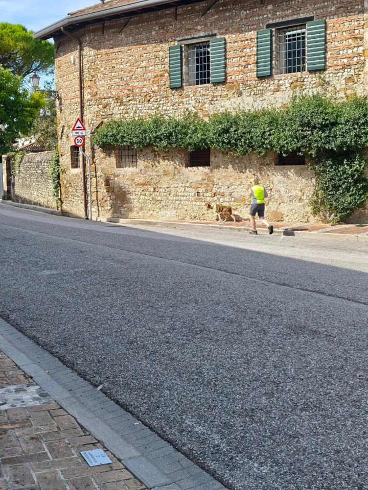 Foto GEM DOG A.S.D.: Allenamento di mantrailing, Buttrio, 20 settembre 2026, foto 28 di 81