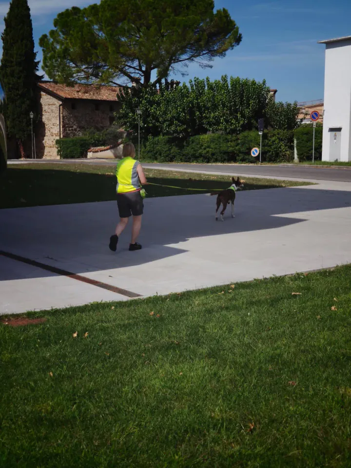 Foto GEM DOG A.S.D.: Allenamento di mantrailing, Buttrio, 20 settembre 2026, foto 31 di 81