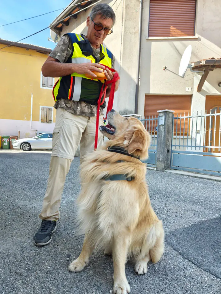 Foto GEM DOG A.S.D.: Allenamento di mantrailing, Buttrio, 20 settembre 2026, foto 33 di 81