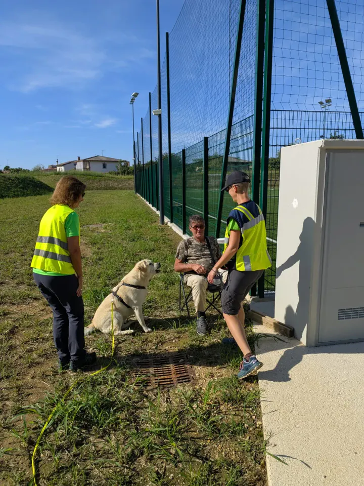 Foto GEM DOG A.S.D.: Allenamento di mantrailing, Buttrio, 20 settembre 2026, foto 35 di 81