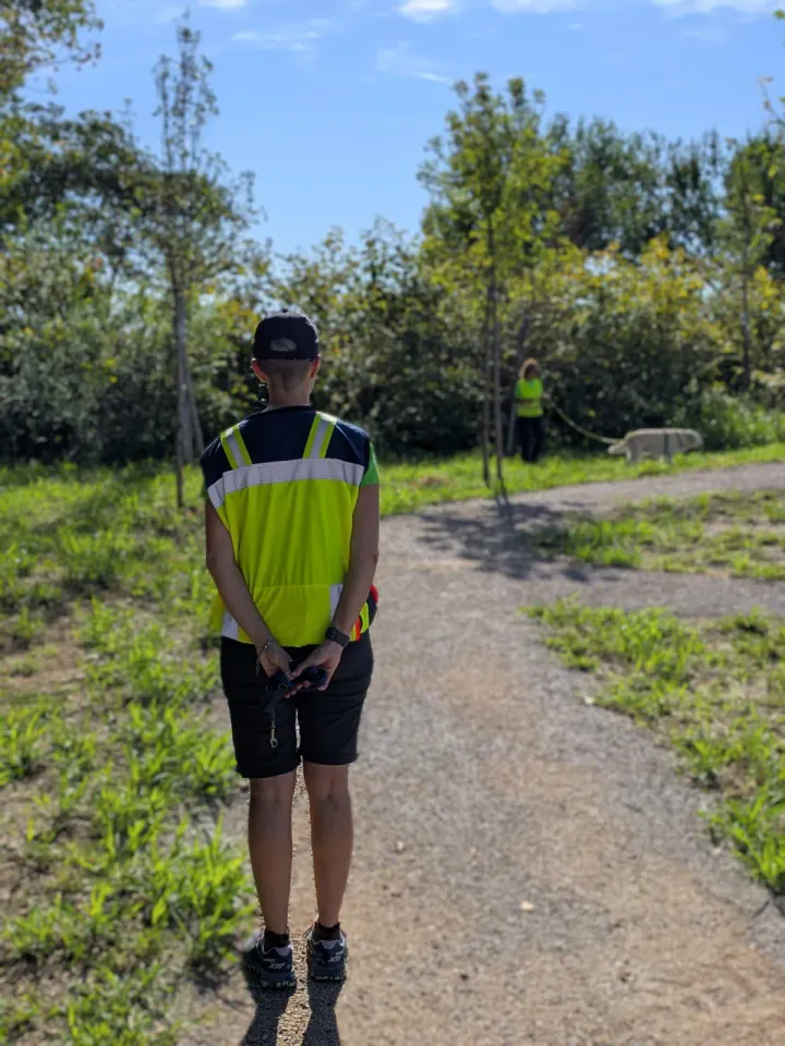 Foto GEM DOG A.S.D.: Allenamento di mantrailing, Buttrio, 20 settembre 2026, foto 38 di 81