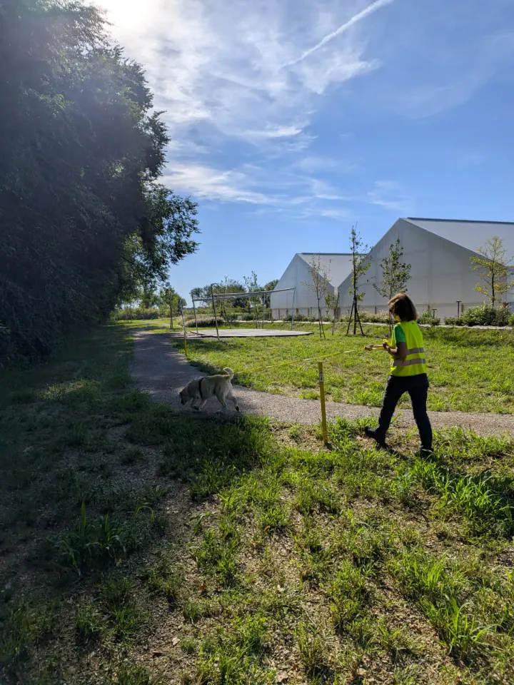 Foto GEM DOG A.S.D.: Allenamento di mantrailing, Buttrio, 20 settembre 2026, foto 42 di 81