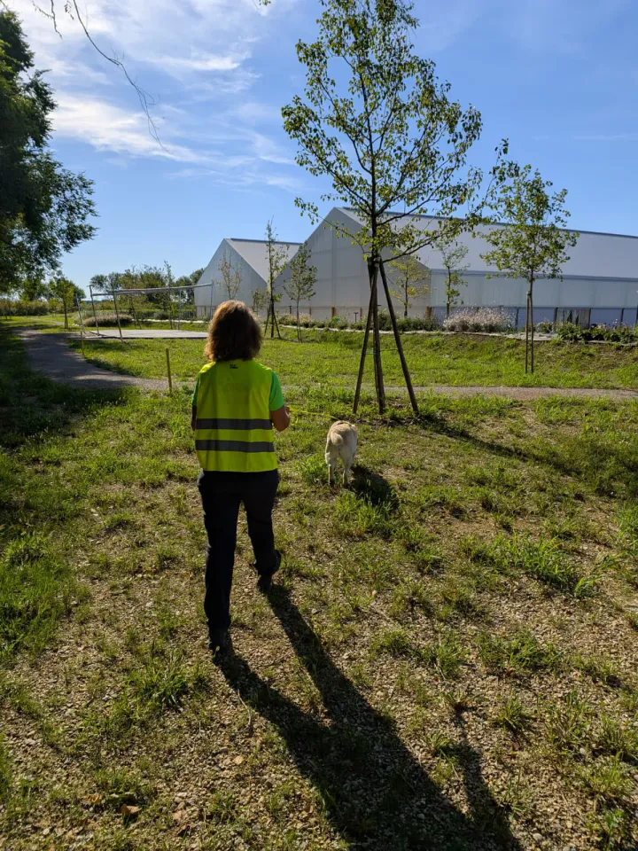 Foto GEM DOG A.S.D.: Allenamento di mantrailing, Buttrio, 20 settembre 2026, foto 43 di 81
