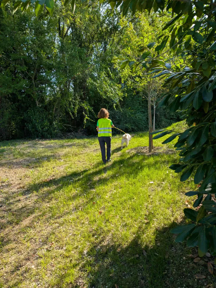 Foto GEM DOG A.S.D.: Allenamento di mantrailing, Buttrio, 20 settembre 2026, foto 44 di 81