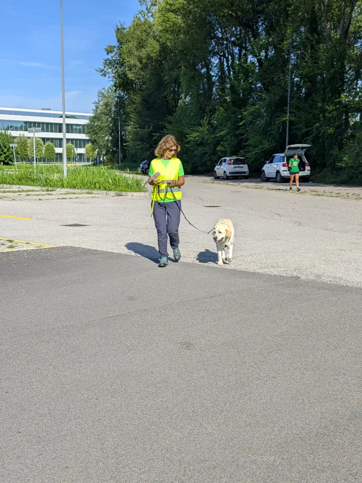 Foto GEM DOG A.S.D.: Allenamento di mantrailing, Buttrio, 20 settembre 2026, foto 46 di 81