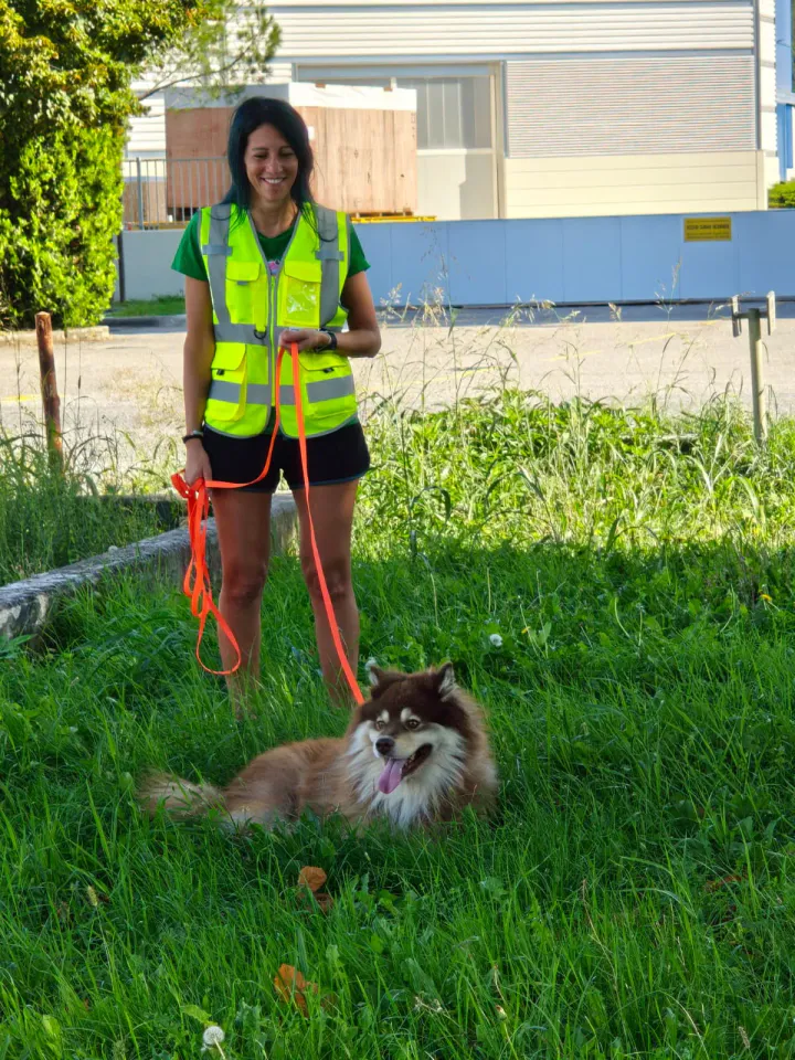 Foto GEM DOG A.S.D.: Allenamento di mantrailing, Buttrio, 20 settembre 2026, foto 53 di 81