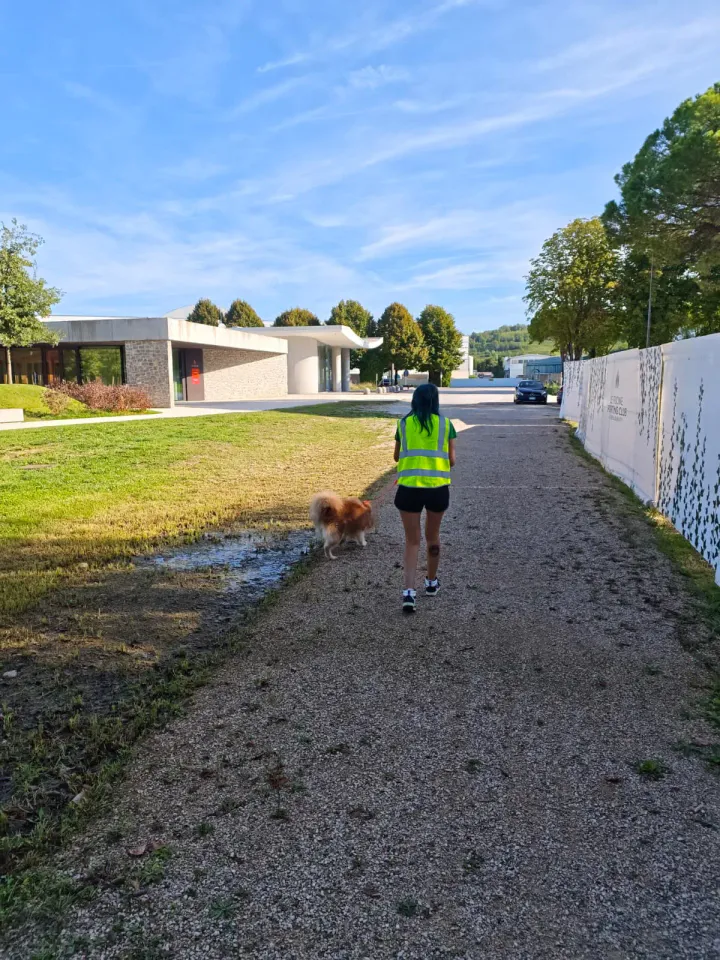 Foto GEM DOG A.S.D.: Allenamento di mantrailing, Buttrio, 20 settembre 2026, foto 57 di 81
