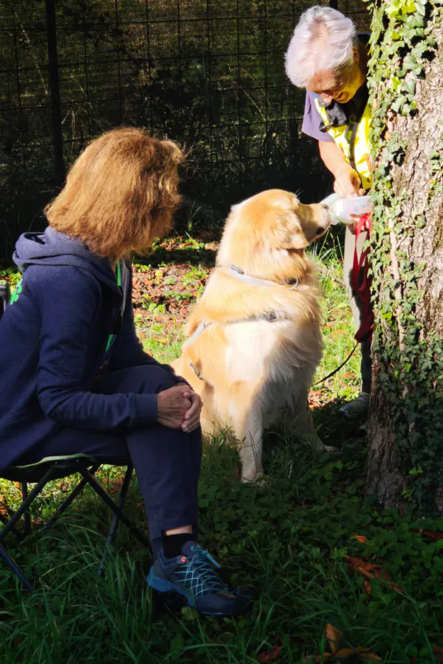 Foto GEM DOG A.S.D.: Allenamento di mantrailing, Buttrio, 20 settembre 2026, foto 62 di 81