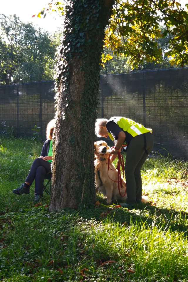 Foto GEM DOG A.S.D.: Allenamento di mantrailing, Buttrio, 20 settembre 2026, foto 63 di 81