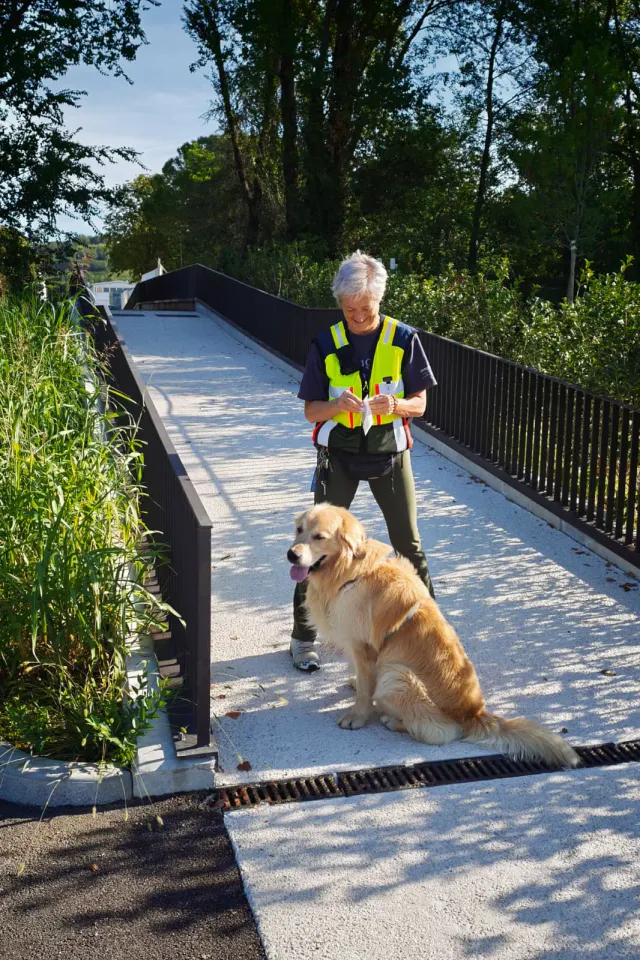 Foto GEM DOG A.S.D.: Allenamento di mantrailing, Buttrio, 20 settembre 2026, foto 71 di 81