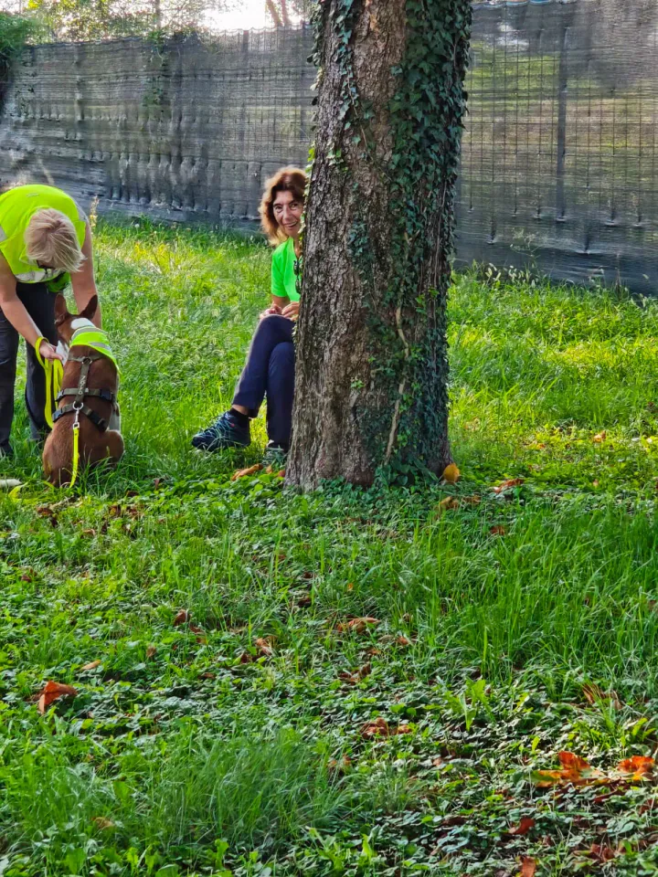 Foto GEM DOG A.S.D.: Allenamento di mantrailing, Buttrio, 20 settembre 2026, foto 72 di 81