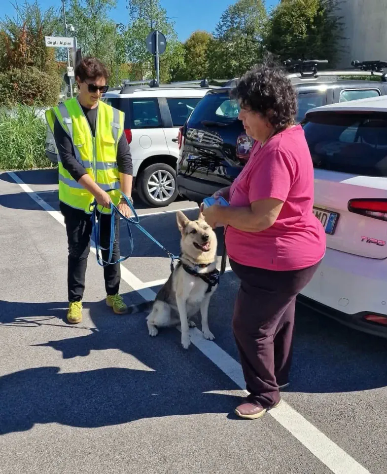 Foto GEM DOG A.S.D.: Allenamento di mantrailing, Pradamano, 27 settembre 2026, foto 1 di 153
