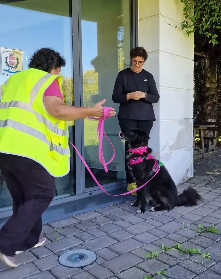 Foto GEM DOG A.S.D.: Allenamento di mantrailing, Pradamano, 27 settembre 2026, foto 3 di 153
