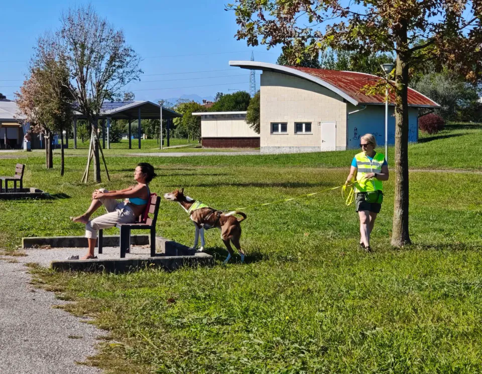 Foto GEM DOG A.S.D.: Allenamento di mantrailing, Pradamano, 27 settembre 2026, foto 7 di 153