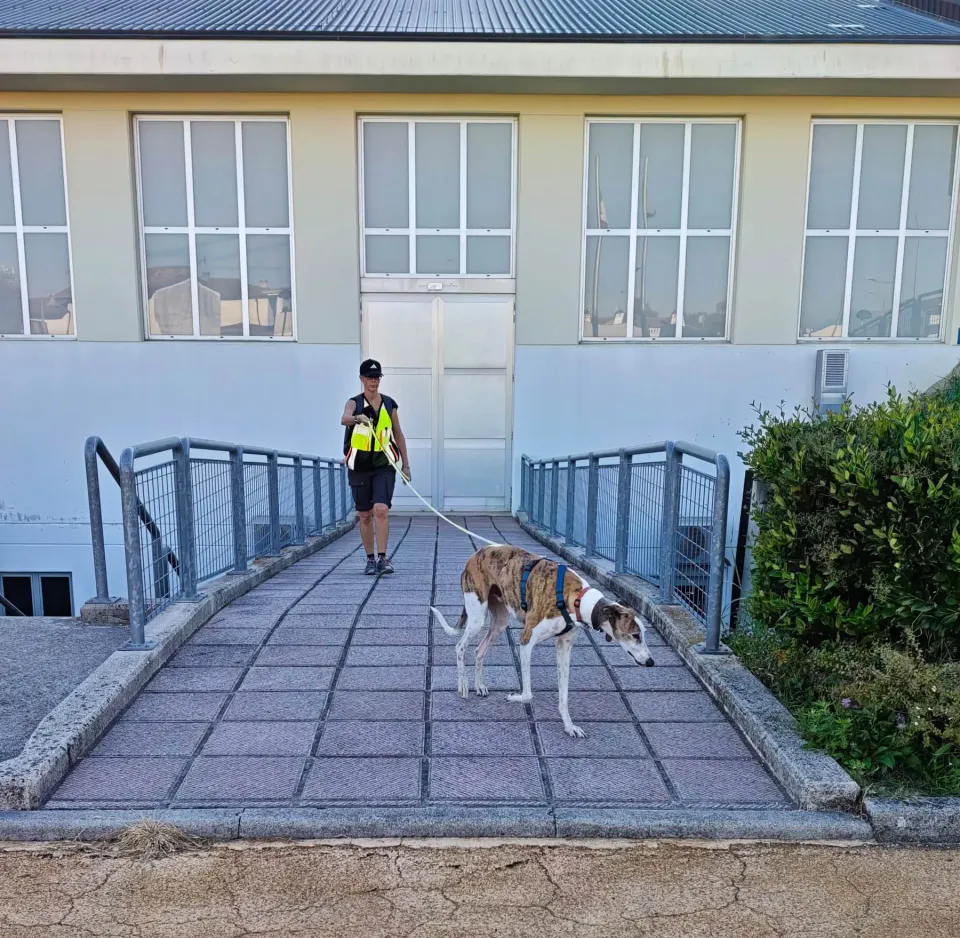 Foto GEM DOG A.S.D.: Allenamento di mantrailing, Pradamano, 27 settembre 2026, foto 9 di 153