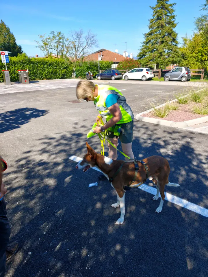 Foto GEM DOG A.S.D.: Allenamento di mantrailing, Pradamano, 27 settembre 2026, foto 101 di 153