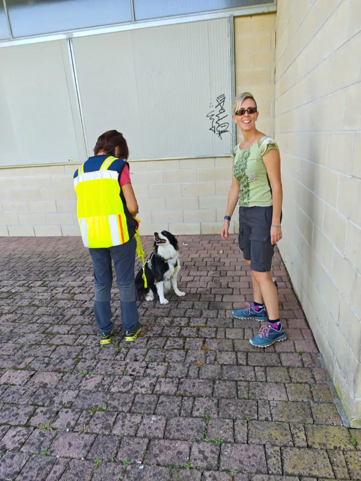 Foto GEM DOG A.S.D.: Allenamento di mantrailing, Pradamano, 27 settembre 2026, foto 105 di 153