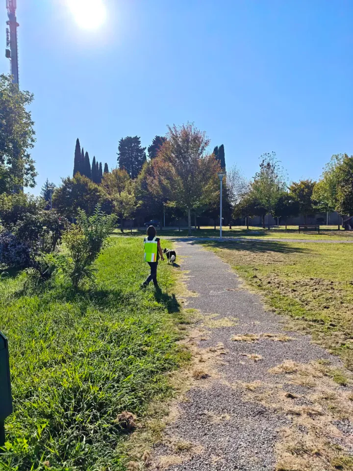 Foto GEM DOG A.S.D.: Allenamento di mantrailing, Pradamano, 27 settembre 2026, foto 109 di 153
