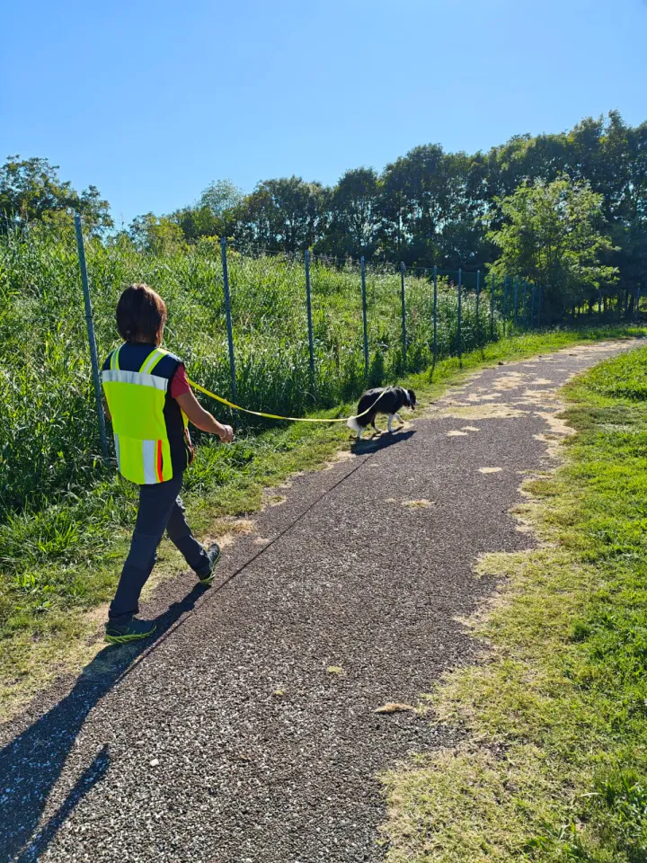 Foto GEM DOG A.S.D.: Allenamento di mantrailing, Pradamano, 27 settembre 2026, foto 111 di 153