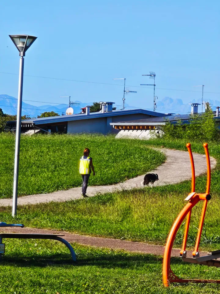 Foto GEM DOG A.S.D.: Allenamento di mantrailing, Pradamano, 27 settembre 2026, foto 115 di 153