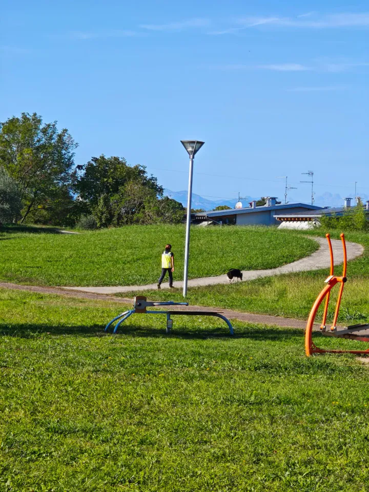 Foto GEM DOG A.S.D.: Allenamento di mantrailing, Pradamano, 27 settembre 2026, foto 116 di 153