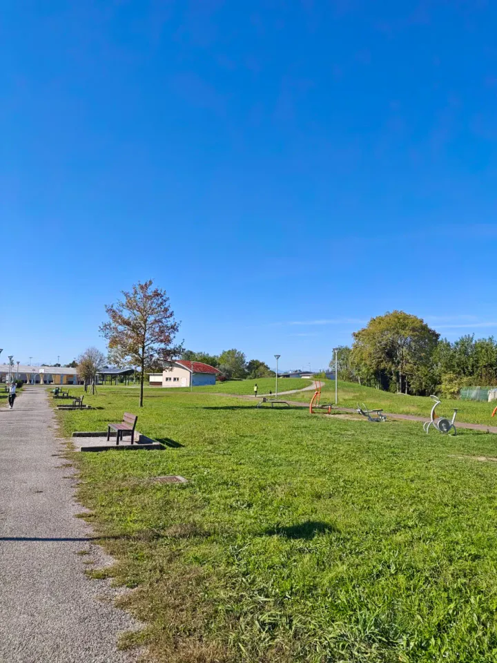 Foto GEM DOG A.S.D.: Allenamento di mantrailing, Pradamano, 27 settembre 2026, foto 117 di 153