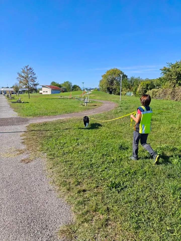 Foto GEM DOG A.S.D.: Allenamento di mantrailing, Pradamano, 27 settembre 2026, foto 118 di 153