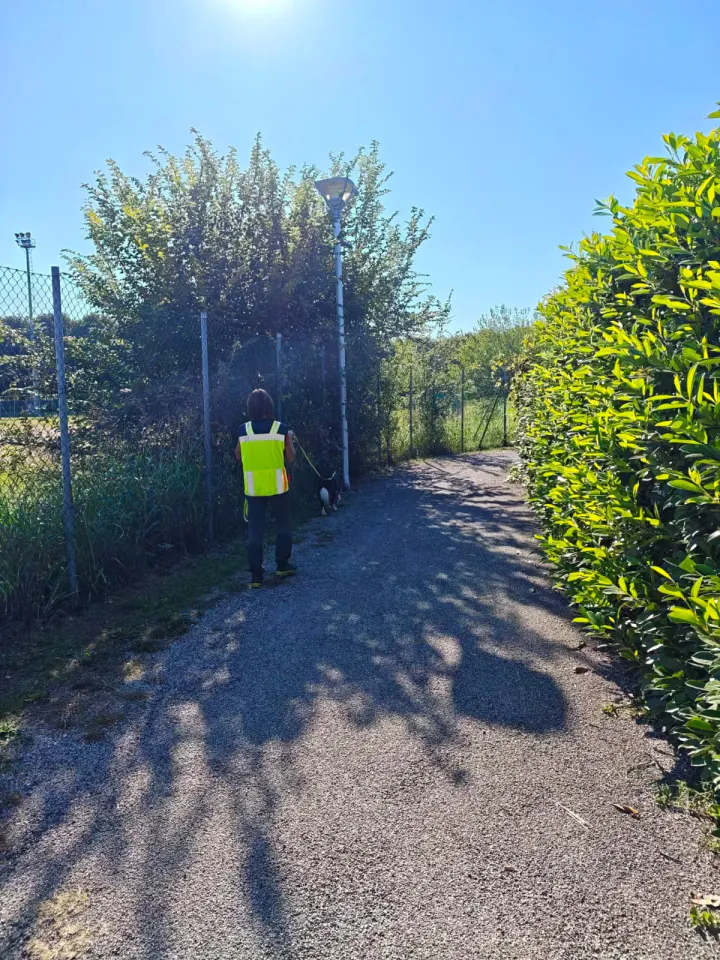Foto GEM DOG A.S.D.: Allenamento di mantrailing, Pradamano, 27 settembre 2026, foto 120 di 153