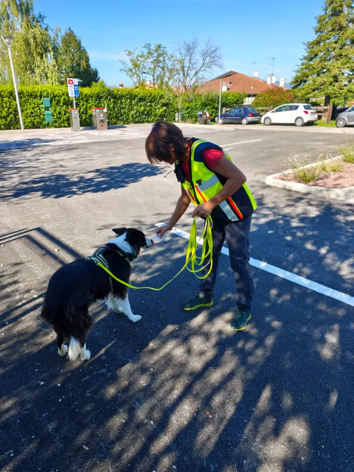 Foto GEM DOG A.S.D.: Allenamento di mantrailing, Pradamano, 27 settembre 2026, foto 122 di 153