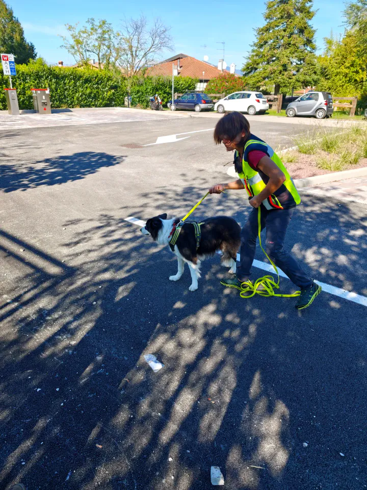 Foto GEM DOG A.S.D.: Allenamento di mantrailing, Pradamano, 27 settembre 2026, foto 123 di 153