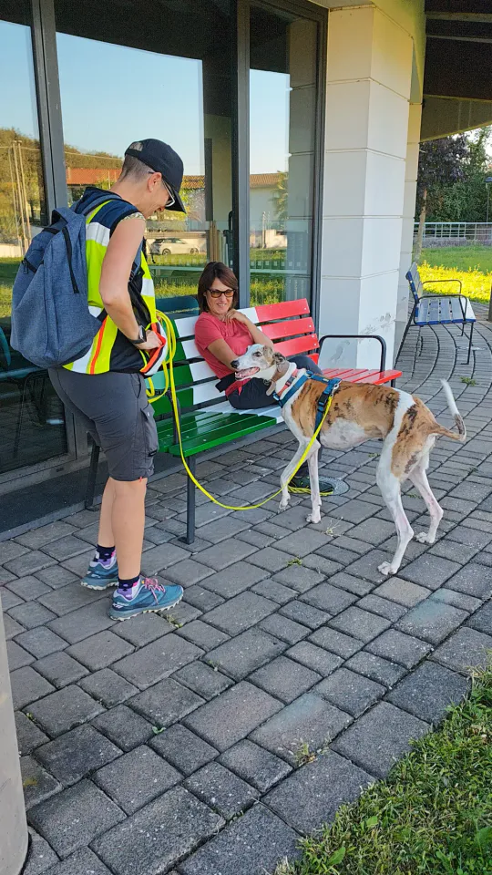 Foto GEM DOG A.S.D.: Allenamento di mantrailing, Pradamano, 27 settembre 2026, foto 124 di 153