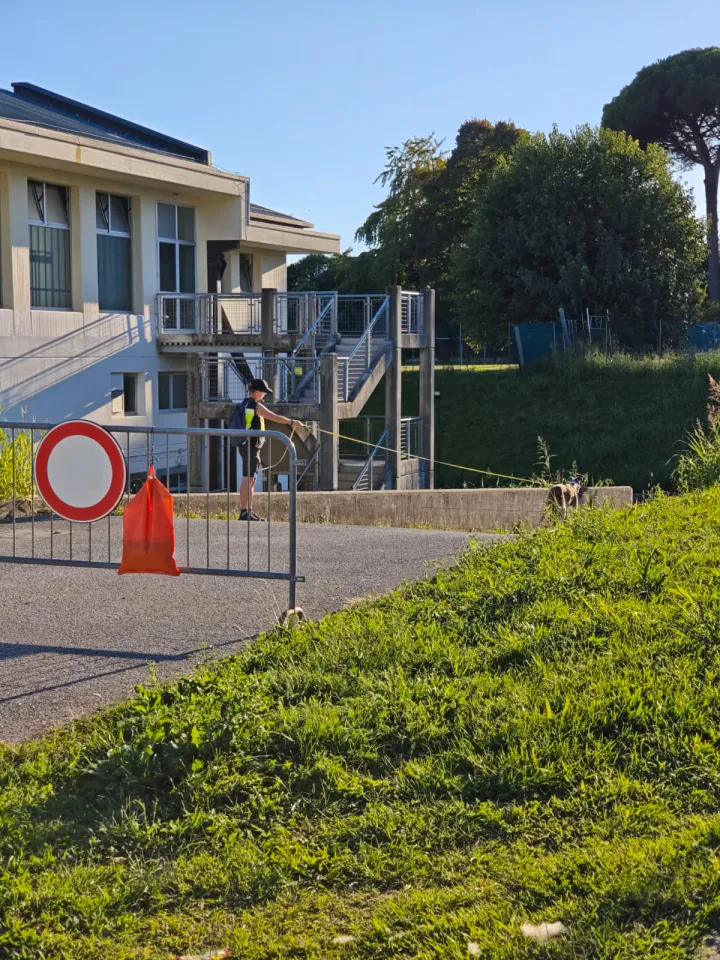 Foto GEM DOG A.S.D.: Allenamento di mantrailing, Pradamano, 27 settembre 2026, foto 127 di 153