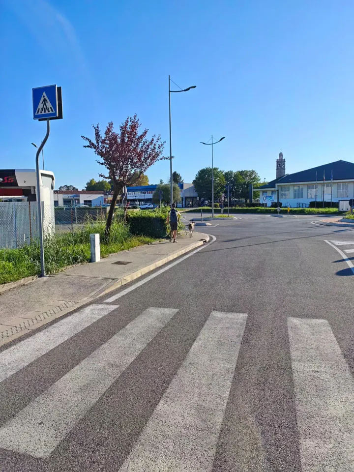 Foto GEM DOG A.S.D.: Allenamento di mantrailing, Pradamano, 27 settembre 2026, foto 134 di 153