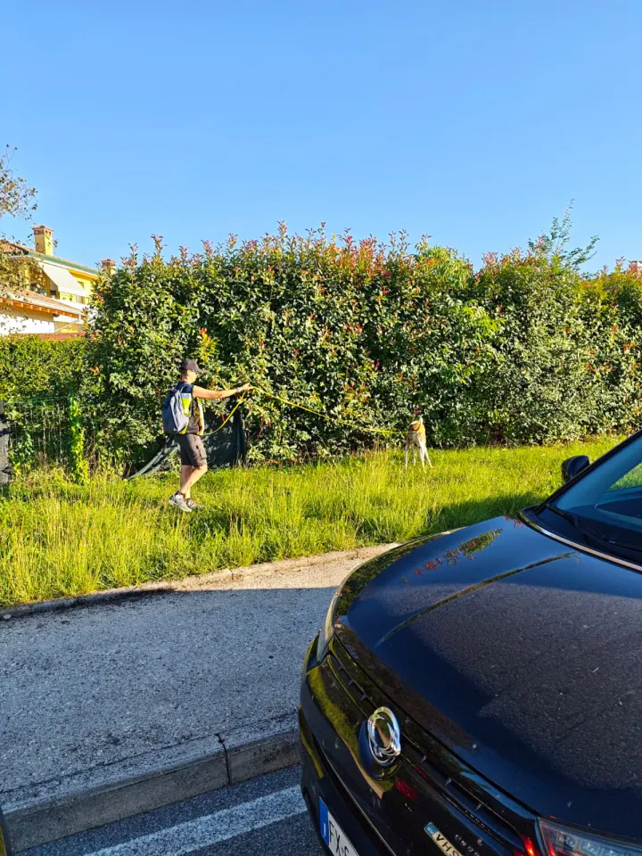 Foto GEM DOG A.S.D.: Allenamento di mantrailing, Pradamano, 27 settembre 2026, foto 136 di 153