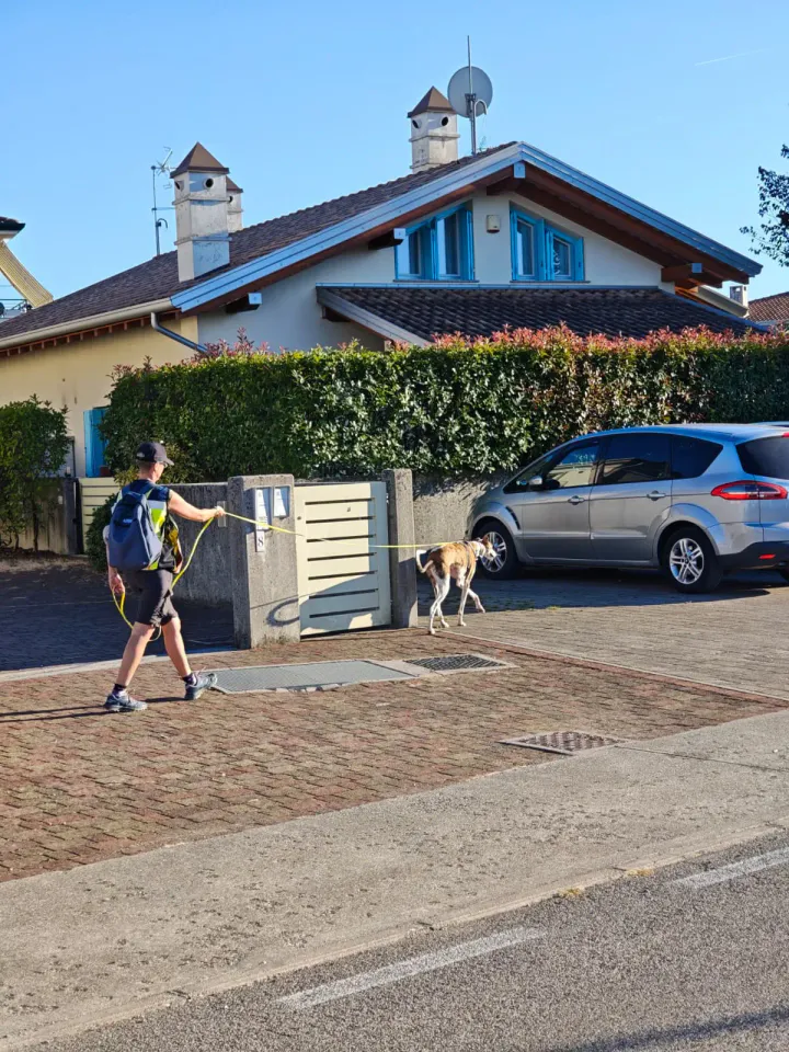 Foto GEM DOG A.S.D.: Allenamento di mantrailing, Pradamano, 27 settembre 2026, foto 139 di 153