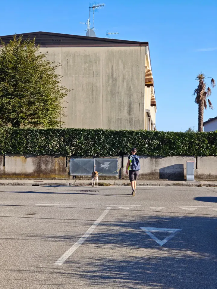 Foto GEM DOG A.S.D.: Allenamento di mantrailing, Pradamano, 27 settembre 2026, foto 144 di 153